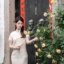 平江路 - 苏州市旅游 缩略图 4