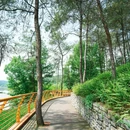 永安湖城市森林公园 - 成都市旅游 缩略图 5