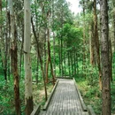 永安湖城市森林公园 - 成都市旅游 缩略图 3