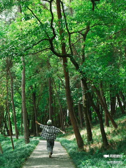 永安湖城市森林公园 - 成都市旅游