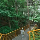 永安湖城市森林公园 - 成都市旅游 缩略图 6