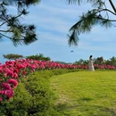 青岛崂山风景名胜区 - 青岛市旅游 缩略图 7