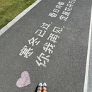 青岛崂山风景名胜区 - 青岛市旅游 缩略图 6