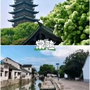 黎里古镇 - 苏州市旅游 缩略图 5