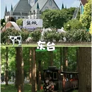 黎里古镇 - 苏州市旅游 缩略图 7