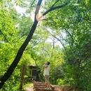 马陵山景区 - 临沂市旅游 缩略图 3