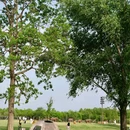 马陵山景区 - 临沂市旅游 缩略图 4