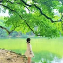 华南植物园-北门售票处 - 广州市旅游 缩略图 4