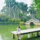 华南植物园-北门售票处 - 广州市旅游 缩略图 8