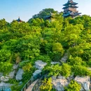 宜兴竹海风景区 - 无锡市旅游 缩略图 7