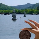 柳浪闻莺 - 杭州市旅游 缩略图 7