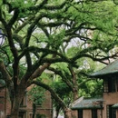 中山大学(广州校区)南校园怀士堂 - 广州市旅游 缩略图 5