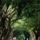 中山大学(广州校区)南校园怀士堂 - 广州市旅游 缩略图 9