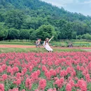 马鞍山森林公园花海乐园 - 武汉市旅游 缩略图 3