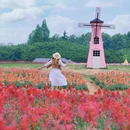 马鞍山森林公园花海乐园 - 武汉市旅游 缩略图 1