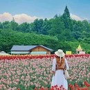 马鞍山森林公园花海乐园 - 武汉市旅游 缩略图 7