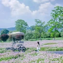 良渚古城遗址公园 - 杭州市旅游 缩略图 3