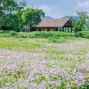 良渚古城遗址公园 - 杭州市旅游 缩略图 7