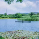 良渚古城遗址公园 - 杭州市旅游 缩略图 9