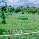 良渚古城遗址公园 - 杭州市旅游 缩略图 6