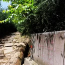 崃麓村村民委员会 - 雅安市旅游 缩略图 5