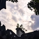 鲁迅故里景区 - 绍兴市旅游 缩略图 2