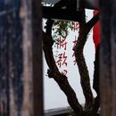 鲁迅故里景区 - 绍兴市旅游 缩略图 4
