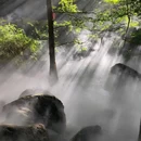 国家植物园北园 - 北京市旅游 缩略图 3