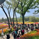 国家植物园北园 - 北京市旅游 缩略图 9