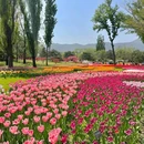 国家植物园北园 - 北京市旅游 缩略图 8