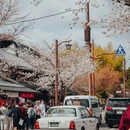 京都 - 日本旅游 缩略图 4