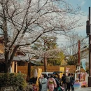 京都 - 日本旅游 缩略图 1