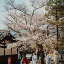 京都 - 日本旅游 缩略图 6