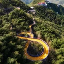 莫干山风景名胜区 - 湖州市旅游 缩略图 8