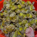 八市·海鲜自助大排档(深圳东门店) - 深圳市旅游 缩略图 7