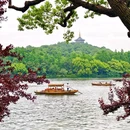 西湖手划船马家湾码头 - 杭州市旅游 缩略图 6