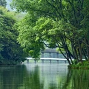 西湖手划船马家湾码头 - 杭州市旅游 缩略图 8
