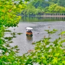 西湖手划船马家湾码头 - 杭州市旅游 缩略图 5