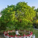 江苏大学 - 镇江市旅游 缩略图 5