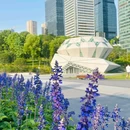 钻石广场 - 重庆市旅游 缩略图 2