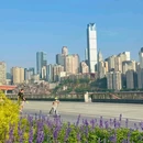 钻石广场 - 重庆市旅游 缩略图 5