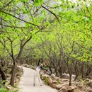 大黑山 - 北京市旅游 缩略图 5