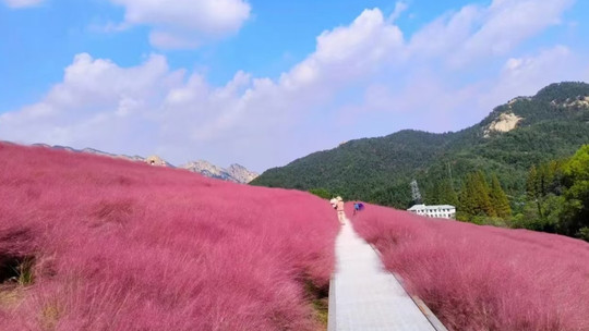 昆嵛山石门里景区门票