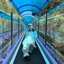 天子地山野乐园 - 杭州市旅游 缩略图 5