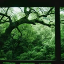 云栖竹径 - 杭州市旅游 缩略图 3