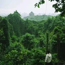 云栖竹径 - 杭州市旅游 缩略图 2