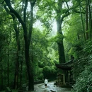云栖竹径 - 杭州市旅游 缩略图 1
