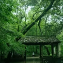 云栖竹径 - 杭州市旅游 缩略图 4