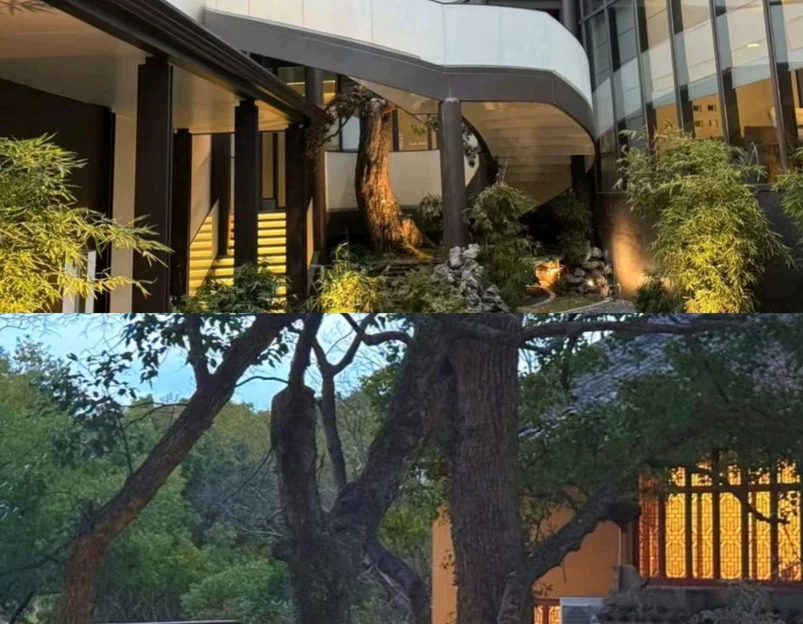 舟山桃花岛风景旅游区 - 舟山市旅游 1