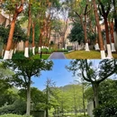 南京夫子庙 - 南京市旅游 缩略图 9